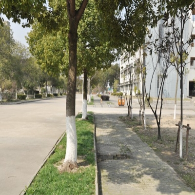 昆山登云科技職業(yè)學(xué)院獨(dú)特優(yōu)勢有哪些